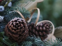 How to create festive wreaths and garlands using garden materials
