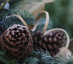 How to create festive wreaths and garlands using garden materials