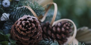 How to create festive wreaths and garlands using garden materials