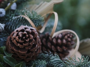 How to create festive wreaths and garlands using garden materials
