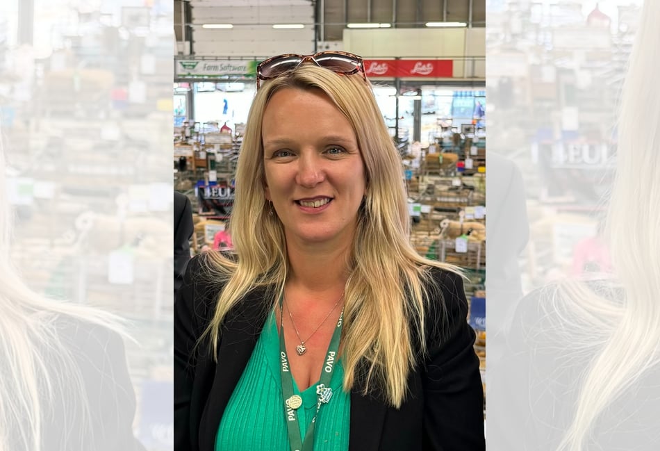 Powys voluntary groups warn of future emergency gaps