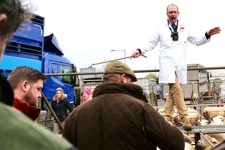 Buying and selling gets underway