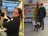 RSPCA staff work through Christmas to care for rescued animals