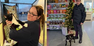 RSPCA staff work through Christmas to care for rescued animals