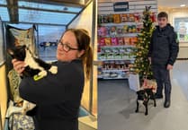 RSPCA staff work through Christmas to care for rescued animals