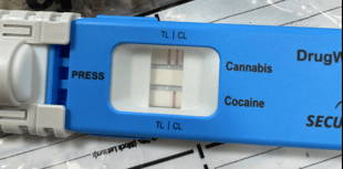 Brecon patrol sees one arrested after positive cannabis test
