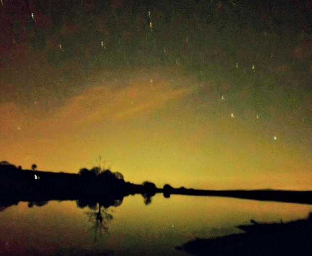 Video: Readers' nature photography!