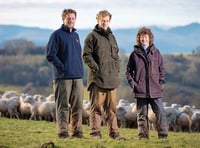 Hay farmer praises sheep genetics scheme