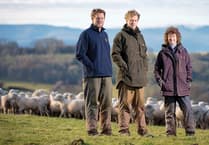 'I can already see the improvements': Hay farmer praises sheep genetics scheme