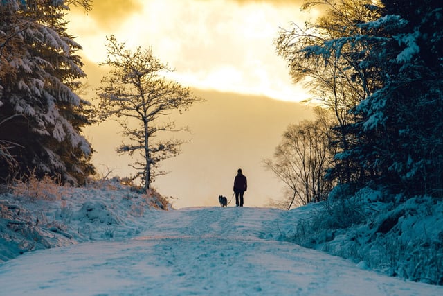 Heading outdoors this Christmas? Ten countryside tips to know
