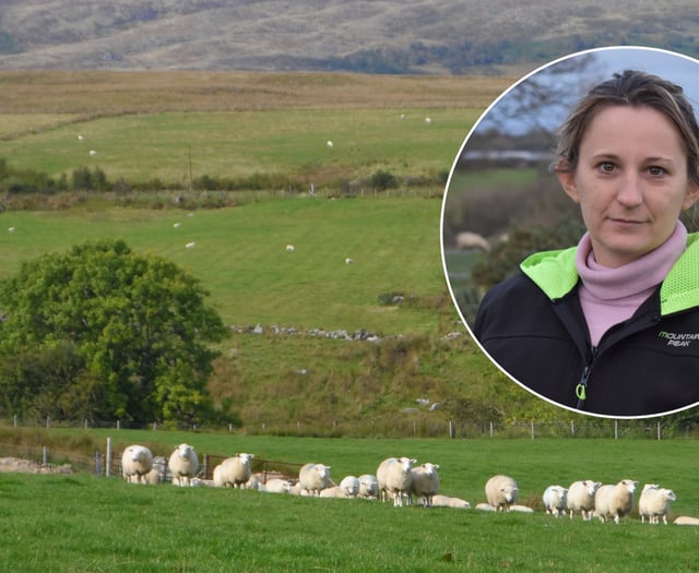 FUW hails ‘long-overdue’ law to tackle dog attacks on livestock