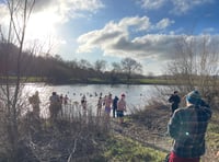 Boxing Day madness at Glasbury as swimmers descend on the Wye