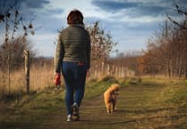 What to do on those days between Christmas and New Year?