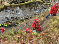 Walker sustains serious injuries after fall in Four Waterfalls area