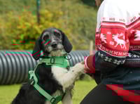 BAFTA nominated show looking for Brecon and Radnorshire applicants