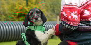 BAFTA nominated show looking for Brecon and Radnorshire applicants