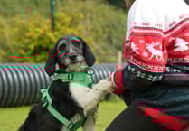 BAFTA nominated show looking for Brecon and Radnorshire applicants