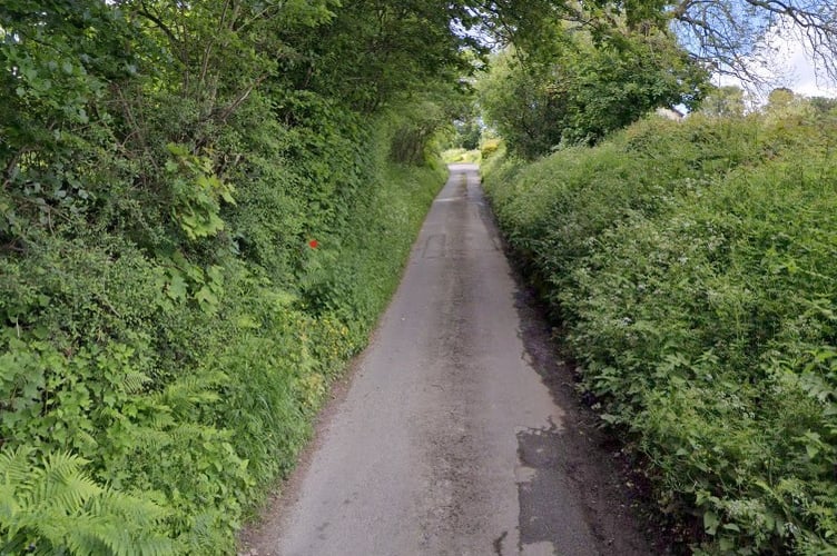 Rookery Lane, near Knighton