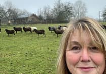 Steph surprised to be named in UK’s 100 most inspiring female entrepreneurs