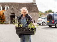 Which 17 Powys groups benefited from Green Man grants last year?