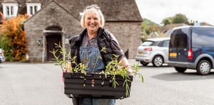 Which 17 Powys groups benefited from Green Man grants last year?