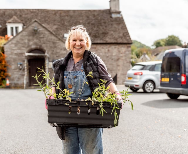 Which 17 Powys groups benefited from Green Man grants last year?