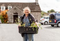 Which 17 Powys groups benefited from Green Man grants last year?