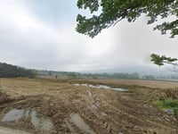 Powys approves slurry lagoon despite more than 100 objections