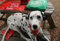 Dog owners across Wales raising money for Air Ambulance