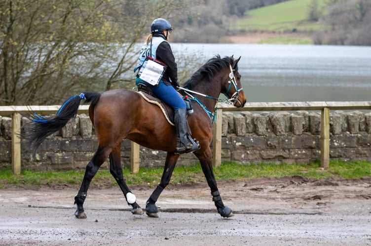 Kirsty Wiscombe / Entries for the much-loved Talybont Reservoir endurance ride, taking place on 28 February, sold out in less than an hour after opening, with a waiting list already in operation – a clear sign of the growing popularity of endurance riding in Wales and beyond.