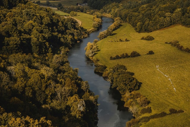 River Wye volunteers take 50,000 samples to track pollution
