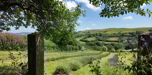 Builth Wells lavender farm featured on new meditative series