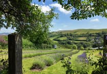 Builth Wells lavender farm featured on new meditative series