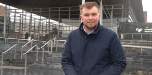 Conservative candidate criticises expansion of Senedd