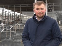 Conservative candidate criticises expansion of Senedd