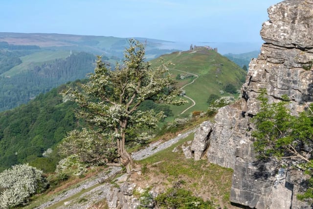 Proposed new national park sparks Powys council worries
