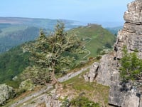 Proposed new national park sparks Powys council worries