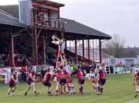 Drovers sweep aside lacklustre Wizards