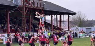 Drovers sweep aside lacklustre Wizards