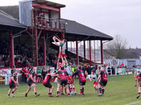 Drovers sweep aside lacklustre Wizards