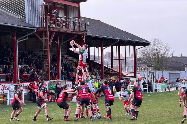 Llandovery lock Joe Powell was in imperious form at the line-out against Aberavon