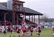 Drovers sweep aside lacklustre Wizards