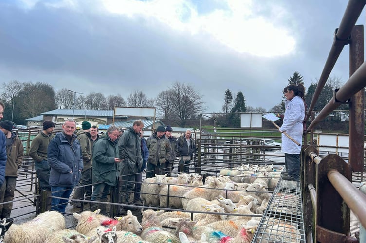 The Friday market in full swing at Knighton