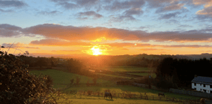 Picture This: Readers' winter colours photographs