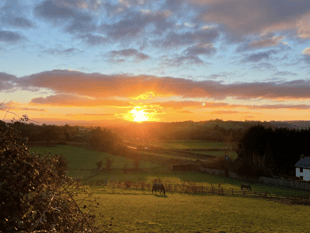 Picture This: Readers' winter colours photographs