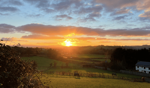 Picture This: Readers' winter colours photographs