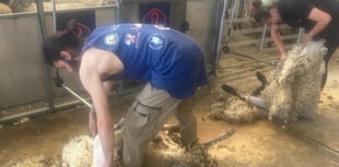 Young farmers offered half-price shearing courses
