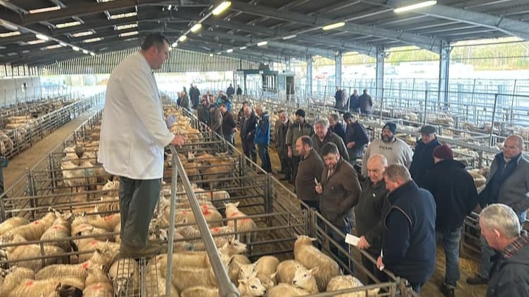 Market report: Brecon kicks off February with strong trade