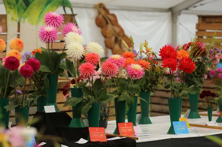 The village showcases everything from community and commercial growing to competitive displays