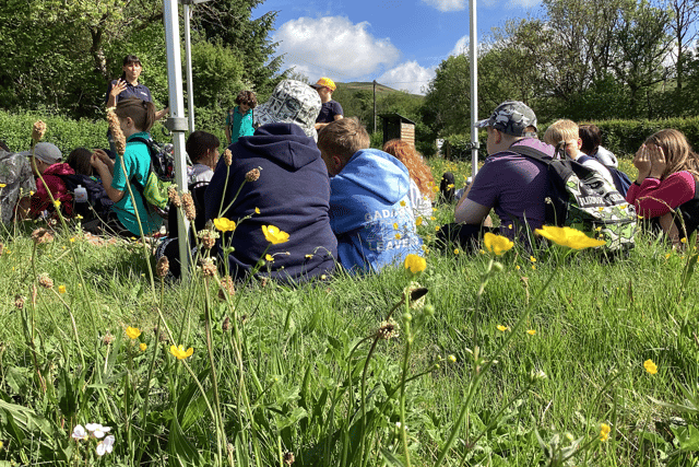  Nature recovery begins at Pentwyn Farm